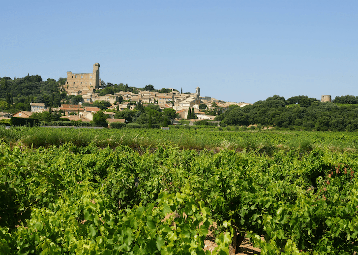 Photo de Avignon, Luberon, Alpilles & Drôme Provençale